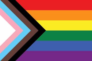Pride art of LGBTQ flag featuring white, pink, blue, brown, black, red, orange, yellow, green, blue and purple stripes