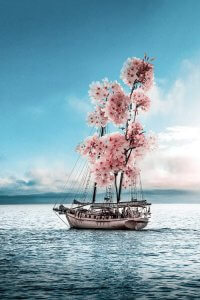 Maritime art of a surreal sailboat on the ocean with pink cherry blossom sails against a blue sky by Gabriel Avram