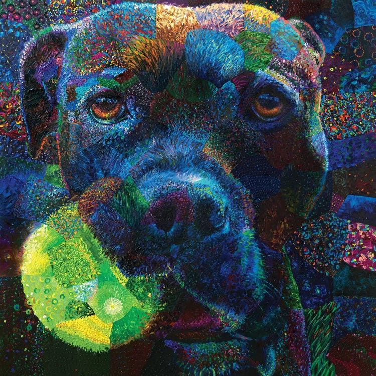 Colorful pet portrait of a dog holding a tennis ball in its mouth by iCanvas artist Iris Scott