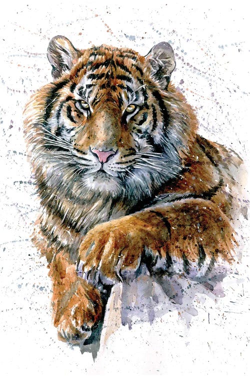 Wildlife painting of a tiger by new iCanvas artist Konstantin Kalinin