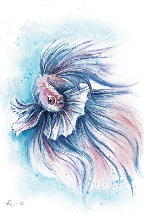Pet portrait of a blue and pink betta fish by new iCanvas creator Lindsay Kivi