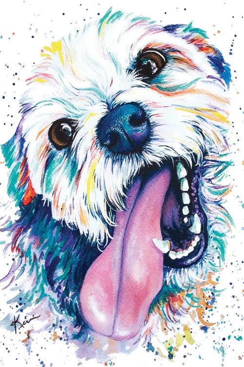 Pet portrait of a white schnauzer with pink tongue out and rainbow colors throughout fur by Lindsay Kivi