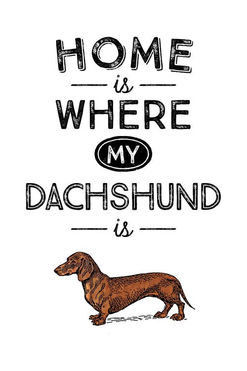 Typography featuring a dachshund below words "home is where my dachshund is" by new creator Alchera Design Posters