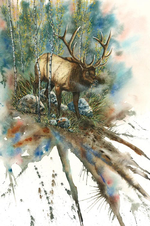 Wildlife art of an Elk in forest by new icanvas creator Dave Bartholet