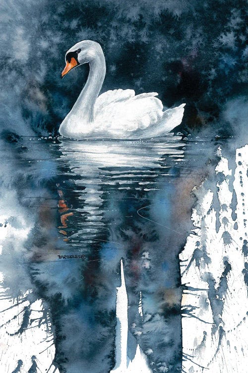 Wall art of swan on dark water by new icanvas artist Dave Bartholet