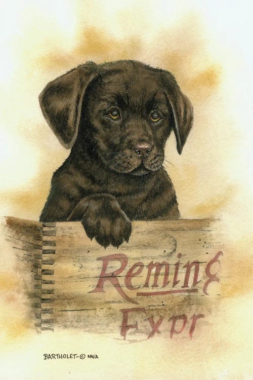 Wall art of brown lab puppy in a Remington crate by new creator Dave Bartholet