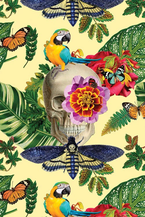collage of skull with colorful flowers, plants and birds by new icanvas creator Gloria Sanchez