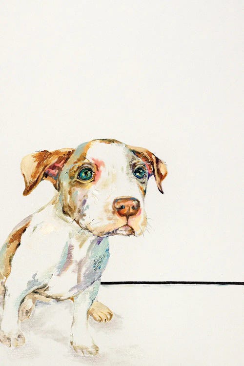 pet portrait of a brown and white puppy by new creator Kim Guthrie