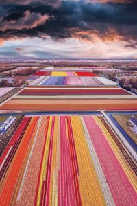 Rainbow art of colorful fields in Netherlands similar to art installation by iCanvas artist Hobopeeba