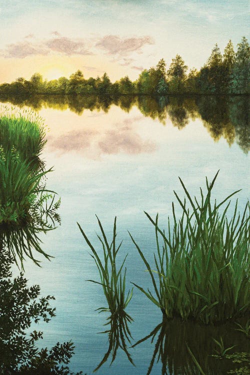 Nature art of a lake with tall grass reflecting the sky by new icanvas artist Marina Zotova