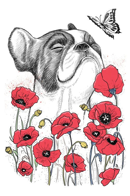 Wall art of black and white Pug sniffing butterflies behind red poppies by new creator Nikita Korenkov