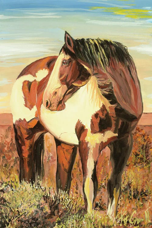 Fine art painting of a brown and white paint colored horse in a brown field by new iCanvas artist Patricia Carroll