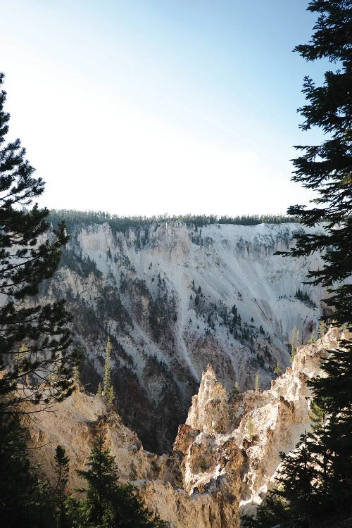 Wall art of Yellowstone peak between pine trees by new icanvas artist Teal Production