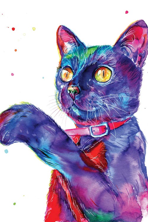 Pet portrait of a blue and purple and pink cat by new icanvas creator Yubis Guzman
