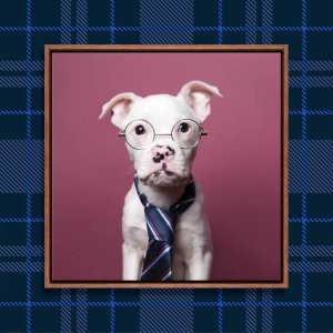 Dog photography of white pit bull in glasses and tie by icanvas artist Sophie Gamand