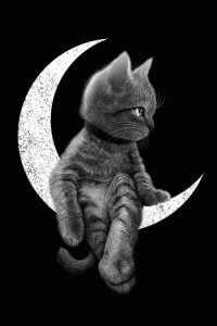 Animal wall art of a gray kitten sitting on a white crescent moon by iCanvas artist Adam Lawless