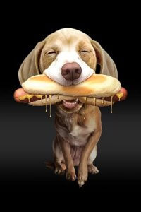 Animal wall art of brown dog holding hot dog in his mouth by 5 Questions With featured iCanvas artist Adam Lawless