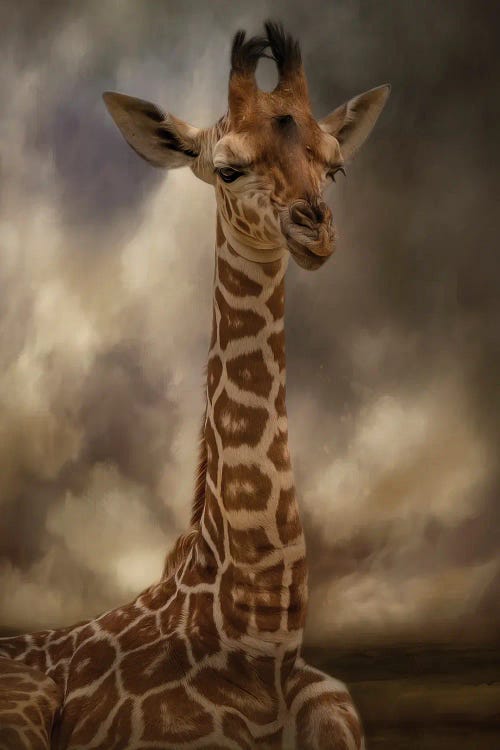 wildlife art of a giraffe against cloudy sky by new creator Kelley Parker