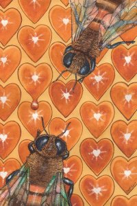 honey bee art of two bees on honeycomb with heart shapes by icanvas artist Catherine McElroy