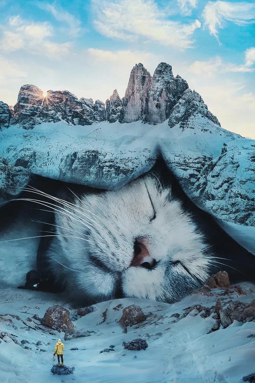 Surreal art of cat napping under snowy boulder by new ianvas creator psguy2026