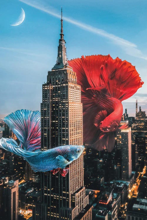 Surreal art of two beta fish playing hide and seek with skyscrapers by new creator psguy2026