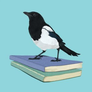 literary wall art of a magpie bird on top of two blue books by icanvas artist Peter Walters