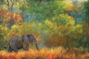 An elephant walking through a field surrounded by trees.