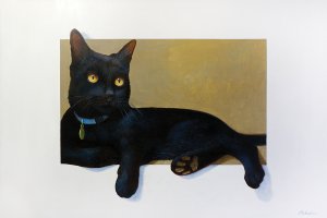 Black cat with golden eyes and a blue collar resting.