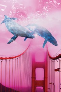 Two whales with music notes about them swimming above a bridge in pink clouds.
