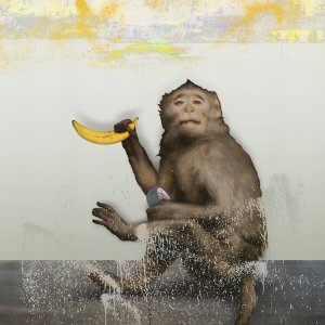A monkey holding a banana and some duct tape.