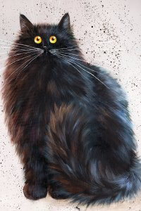 Fluffy black cat with large gold eyes.