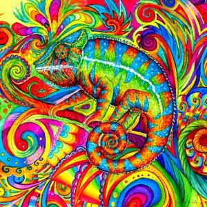 A rainbow colored lizard on a rainbow background with circular patterns.