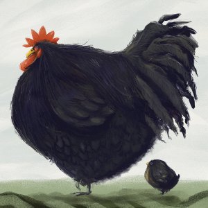 A chonky black orpington chicken.