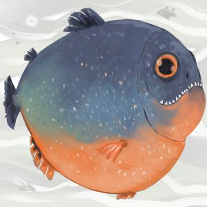 A chonky blue and orange piranha fish.