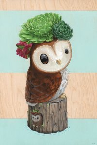 An owl on a tree stump with succulents on head