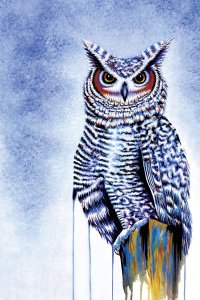 A blue horned owl in front of cloudy blue background