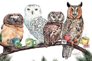 Four owls on a tree branch with cups of tea