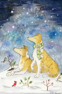 Two collie dogs, one wearing a striped scarf, on a snowy night looking up at the stars.