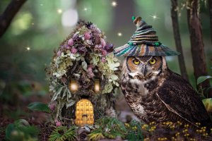 An owl wearing a fairy hat next to a birdhouse with flowers