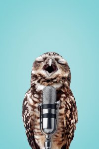 An owl singing into a microphone