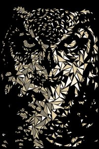A geometric owl on a black background