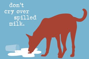 A dog licking up spilled milk on the floor near the phrase "don't cry over spilled milk".