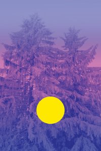 Fir trees with purple filter and yellow circle in the middle