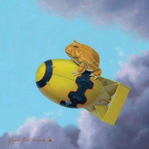 Frog on top of a blimp in the sky