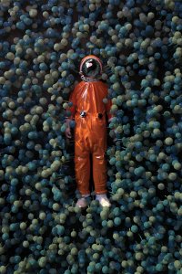 Astronaut lying in field of blue mushrooms