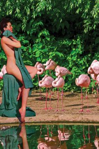 Nude woman holding green towel over herself next to group of flamingos in front of a pond surrounded by green leaves