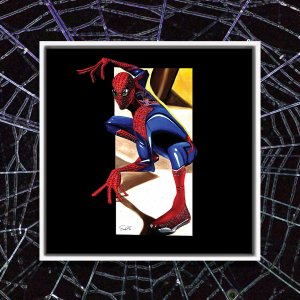 Spiderman in crouched down pose