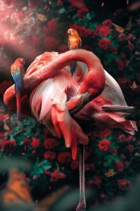 Flamingo with its neck bent around with two colorful birds sitting on top of it