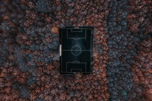 Aerial shot of basketball court in the middle of a forest
