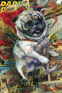 Pug wearing a red cape in front of comic book pages